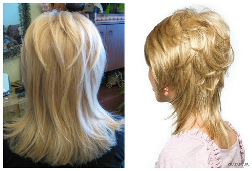 Comment couper une femme? Coupes de cheveux des femmes à la mode sur la photo