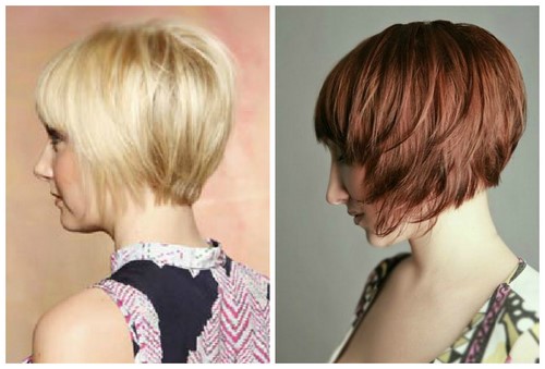 Comment couper une femme? Coupes de cheveux des femmes à la mode sur la photo
