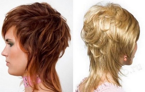 Comment couper une femme? Coupes de cheveux des femmes à la mode sur la photo