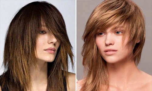 Comment couper une femme? Coupes de cheveux des femmes à la mode sur la photo