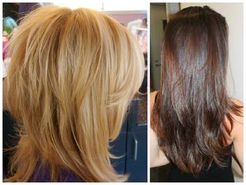 Comment couper une femme? Coupes de cheveux des femmes à la mode sur la photo