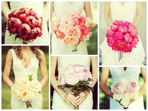Choisissez un bouquet: les plus beaux bouquets de fleurs à la mode - photo
