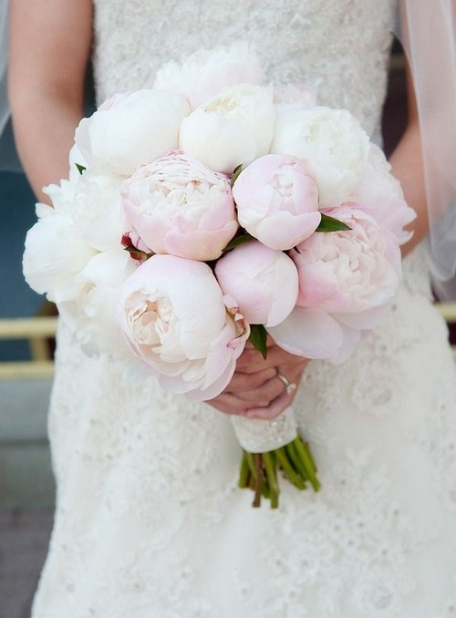Choisissez un bouquet: les plus beaux bouquets de fleurs à la mode - photo