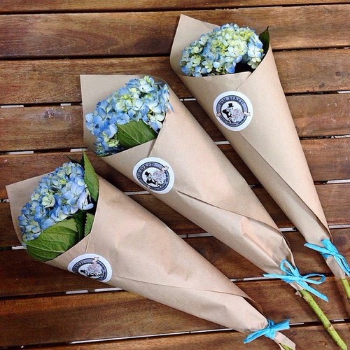 Choisissez un bouquet: les plus beaux bouquets de fleurs à la mode - photo