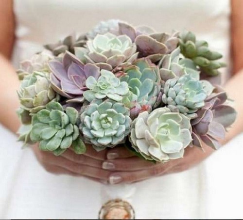 Choisissez un bouquet: les plus beaux bouquets de fleurs à la mode - photo