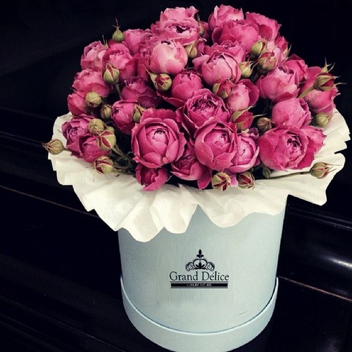 Choisissez un bouquet: les plus beaux bouquets de fleurs à la mode - photo