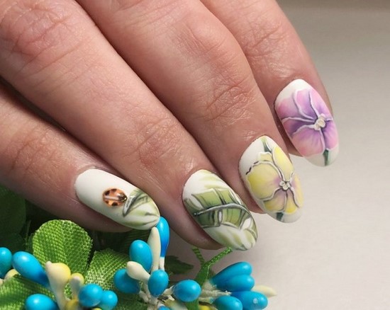 Manucure délicate pour les ongles courts et longs - photos, actualités, idées