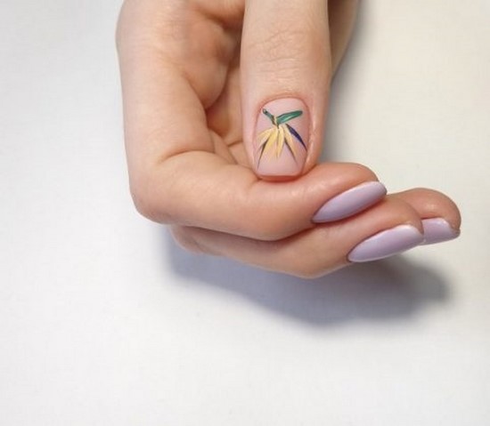 Manucure délicate pour les ongles courts et longs - photos, actualités, idées