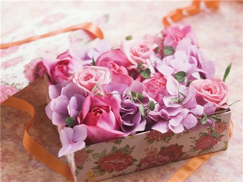 Tendance floristique à la mode: des fleurs à faire soi-même dans une boîte