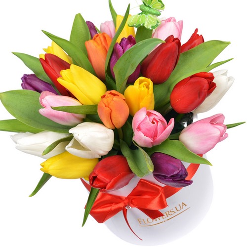 Tendance floristique à la mode: des fleurs à faire soi-même dans une boîte