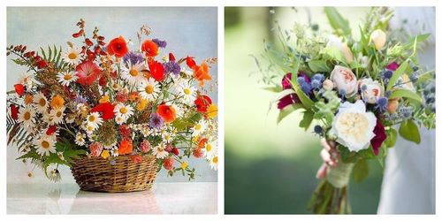 Arrangements floraux: tendances de la mode en floristique, idées d'arrangements floraux