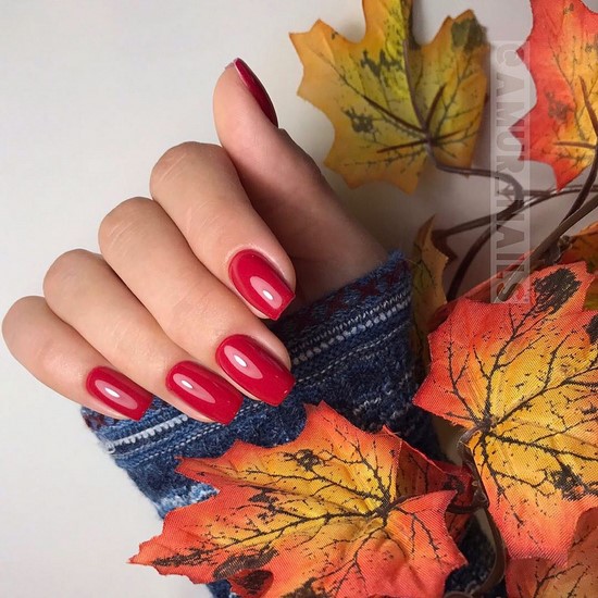 Manucure simple pour les débutants: manucure facile avec un simple vernis dans différentes techniques