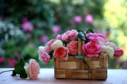 Arrangements floraux: tendances de la mode en floristique, idées d'arrangements floraux