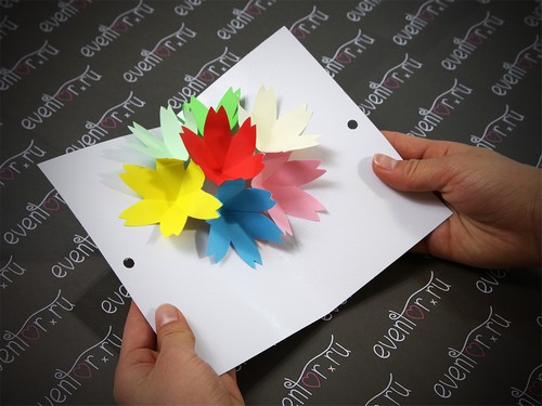 Les cartes postales les plus originales qui soient: idées photo, style, exemples d'inspiration