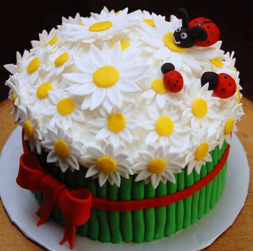 Beaux gâteaux: photos, tendances des gâteaux, idées, actualités