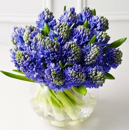 Beaux bouquets de fleurs printanières et arrangements floraux printaniers