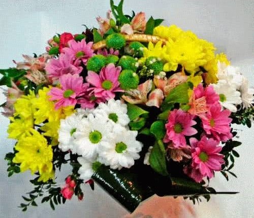 Beaux bouquets de fleurs printanières et arrangements floraux printaniers