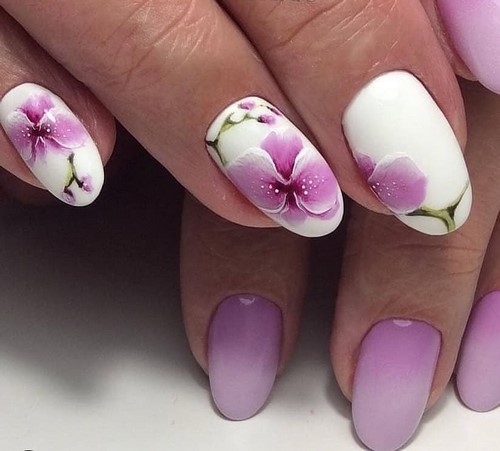 Conception de manucure: photos, tendances, meilleures tendances