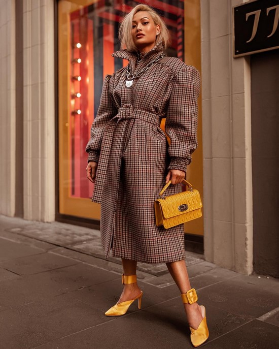 Choisissez un imperméable au lieu d'une veste. Tendances de cape dans les plus beaux looks