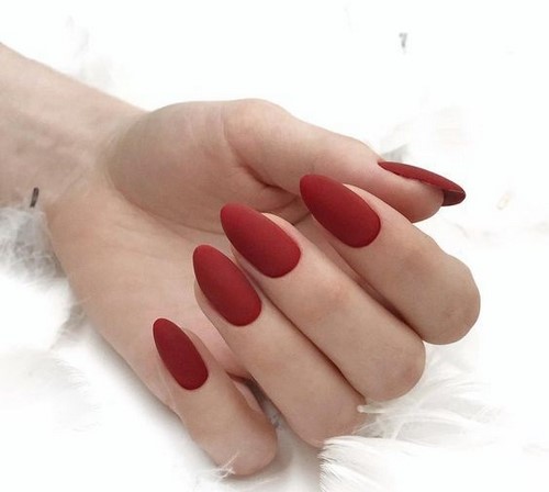 Manucure simple toujours désirée: idées de photos