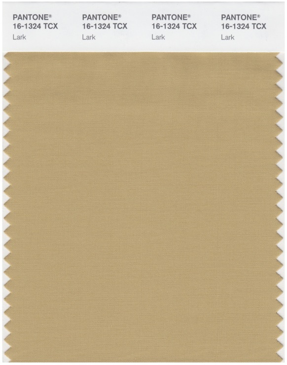 Culori la modă de haine. Alege imagini interesante în nuanțe frumoase.